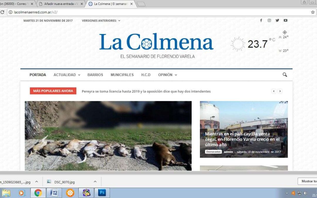 Lanzamiento de Nueva WEB de La Colmena
