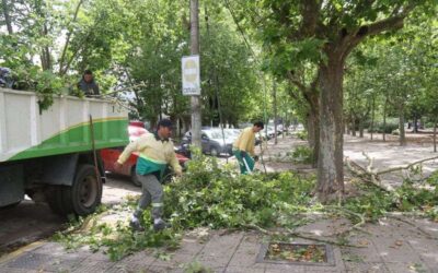 MUNICIPIO TRABAJA TRAS EL TEMPORAL