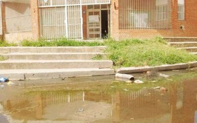 RESPUESTA OFICIAL POR PUBLICACIÓN DE LA COLMENA: