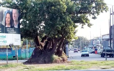 “El Ombú”,  la salida y entrada  hacia la ruta 36 están olvidados