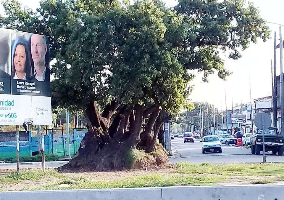 “El Ombú”,  la salida y entrada  hacia la ruta 36 están olvidados