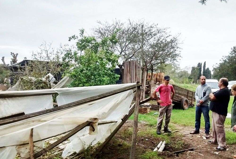 La zona rural de Villa San Luis sufrió averías en el 50% del sistema cerrado de cosecha y 30 hectáreas son las damnificadas