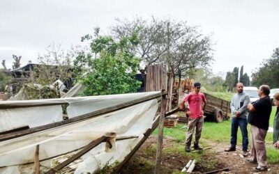 La zona rural de Villa San Luis sufrió averías en el 50% del sistema cerrado de cosecha y 30 hectáreas son las damnificadas