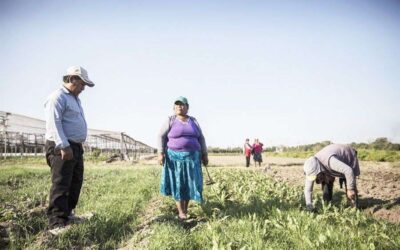 La comunidad boliviana: clave en la producción de frutas y verduras en  Varela