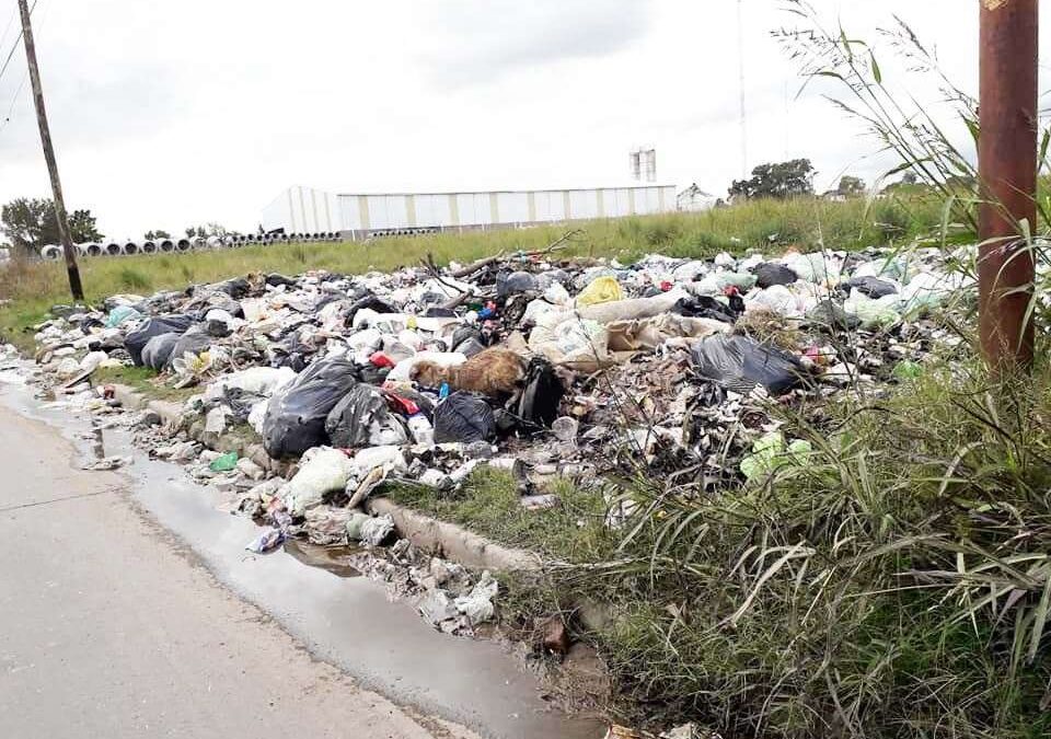 La calle La Huella también tiene  su basurero donde arrojan hasta animales muertos