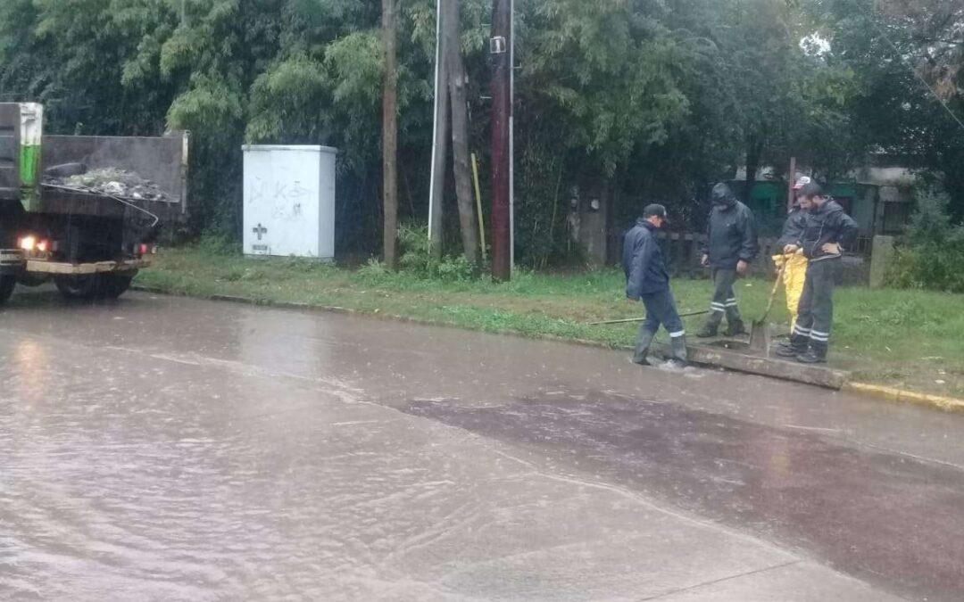 Alerta amarilla: Anuncian fuertes vientos y bajas temperaturas para los próximos días