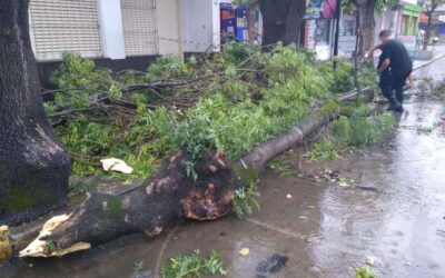 Inmediato accionar del Municipio luego del temporal