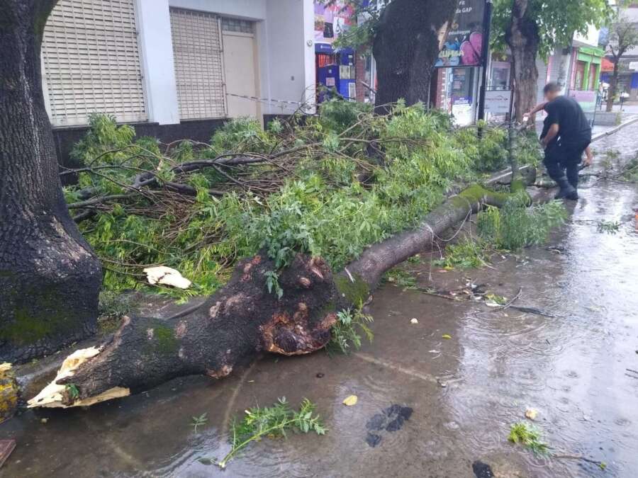 Inmediato accionar del Municipio luego del temporal