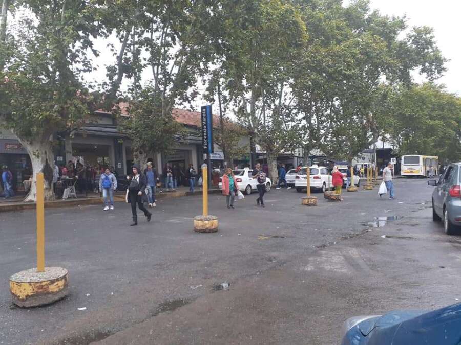 Ratas en la estación de trenes de Florencio Varela