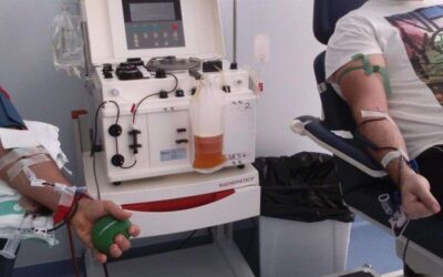 Covid-19: 29 nuevos casos e importante número de altas
