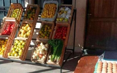 Verdulerías en las casas: la nueva onda verde en cuarentena