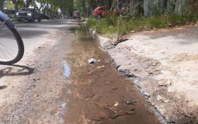 Quejas por falta de barrido y limpieza en cordones