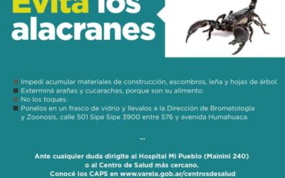 ¿Cómo actuar ante la aparición de Alacranes?