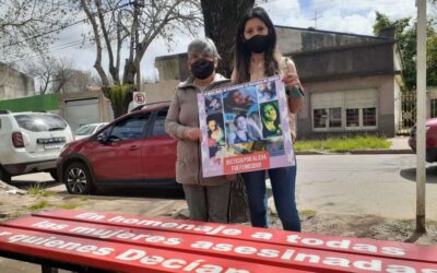 Femicidio de Alicia Vallejos: La respuesta eficaz del Juzgado de Garantías Nº 6 a sus familiares