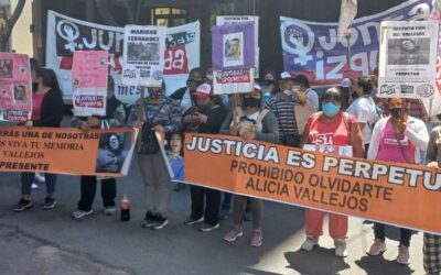 Ejemplar condena para el femicida Mariano Fernández, por asesinar a Alicia Vallejos