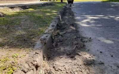 Villa Vatteone: Un barrio donde la suciedad en las calles gana terreno