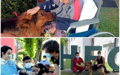 Tratamiento innovador en el HEC: Reciben las mascotas de los pacientes con fines terapéuticos