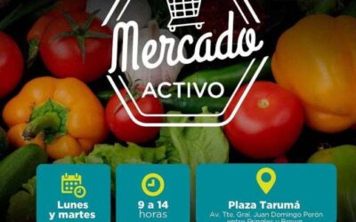 Mercado Activo en la Plaza Tarumá