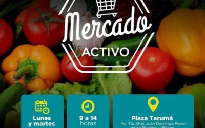 Mercado Activo en la Plaza Tarumá