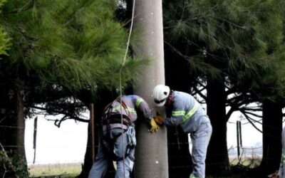 Edesur avanza en el recambio de postes de madera por columnas de hormigón