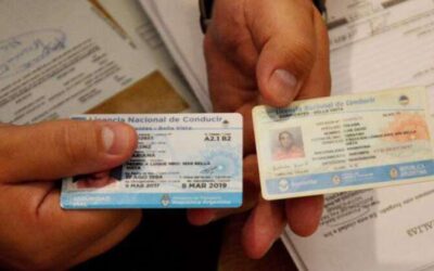 Licencias de conducir apócrifas: la Comuna advirtió sobre sus consecuencias legales