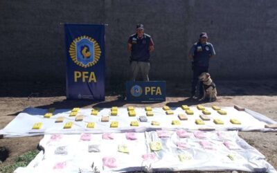 OPERACIÓN MARVEL:   La Policía Federal Argentina  secuestró en salta 27 mil pastillas de éxtasis y 38 kg. de cocaína