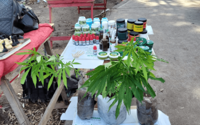 Lo detienen por tener un “puestito” con aceite de cannabis y plantas de marihuana en la Feria de Bosques