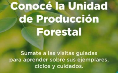 Visitá la Unidad de Producción Forestal varelense