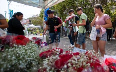 Flores, aromas y colores en un paseo para enamorar