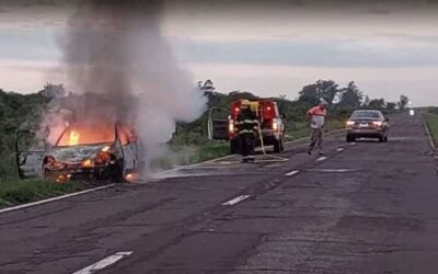 Una familia varelense chocó a una manada de ciervos en una ruta correntina y se incendió el auto