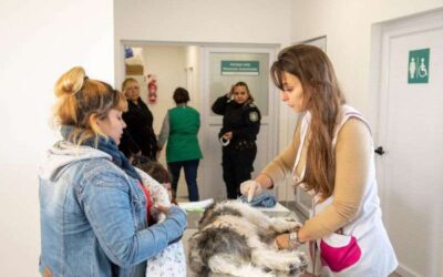 Más de 77 mil atenciones en el Centro Veterinario Municipal