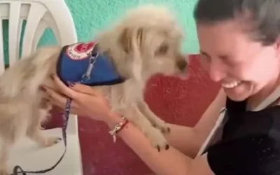 Benja, el primer integrante del staff canino del HEC