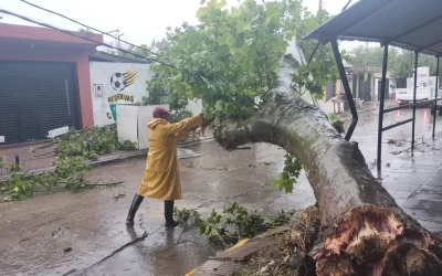 Tras el temporal operativos simultáneos en Florencio Varela: postes caídos, voladuras de techos, árboles caídos y 22 mil usuarios sin luz