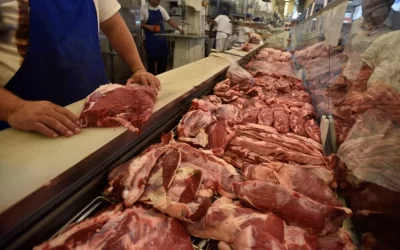 Bajan la hacienda y algunas verduras en mercados concentradores