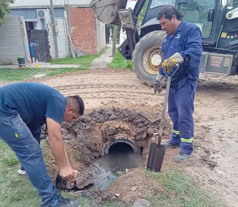 Labores hidráulicas preventivas
