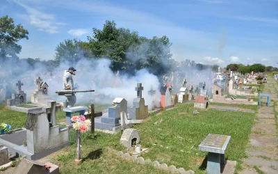 Fumigación en el cementerio municipal