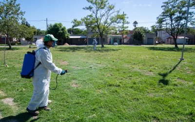 Dengue: el Municipio refuerza acciones preventivas