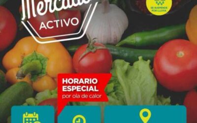 Mercado Activo en su edición verano