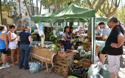 Fecha especial para el Mercado Activo en la plaza San Juan Bautista