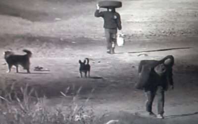 Barrio La Pileta: Detuvieron a dos robaruedas