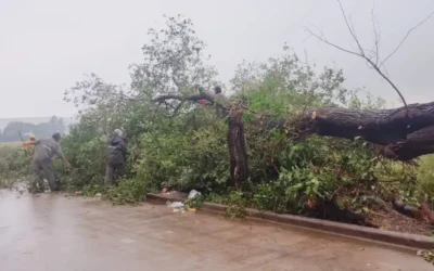 Florencio Varela: Continuaron los operativos de higiene urbana y saneamiento hidráulico