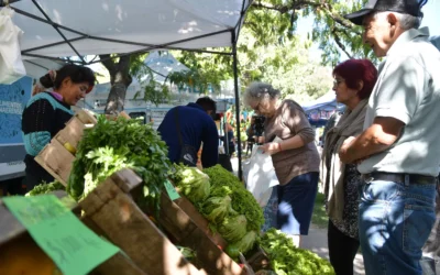 Mercado Activo en Villa del Plata: diversidad de productos con precios accesibles