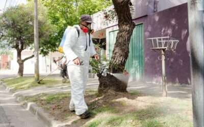 Los casos de dengue superan los 78 mil en la provincia y hay 3.389 en Florencio varela