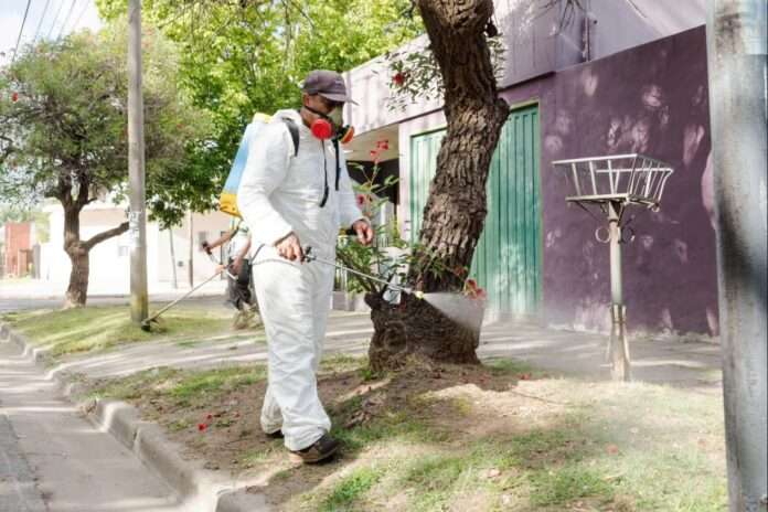 Los casos de dengue superan los 78 mil en la provincia y hay 3.389 en Florencio varela