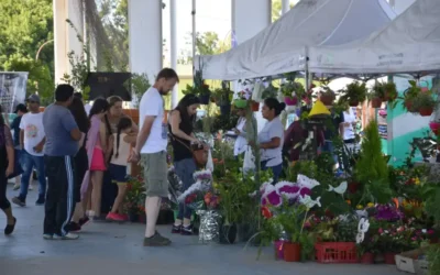 Llega la Fiesta de la Flor a Florencio Varela