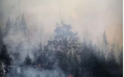 Alerta por humo: Florencio Varela y otros 60 municipios se verán afectados por incendios del Amazonas