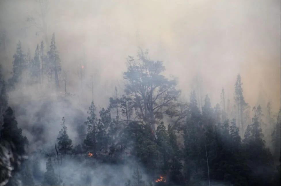 Alerta por humo: Florencio Varela y otros 60 municipios se verán afectados por incendios del Amazonas