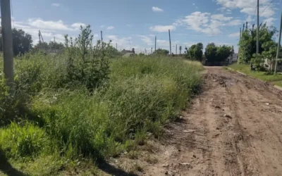 Pico de Oro: Vecinos reclaman seguridad por un predio abandonado que genera temor en la zona