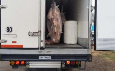 Fiestas de Fin de Año: Advierten por el robo de camiones con carne vacuna en Florencio Varela y otros distritos del conurbano