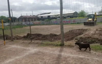 SAN EDUARDO: Denuncian destrucción de cancha de fútbol barrial y solicitan intervenga el intendentee